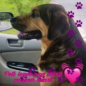 Meet your Posher, Kristi